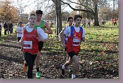 Begles 15.12.13 01 569 * 679 x 453 * (213KB)